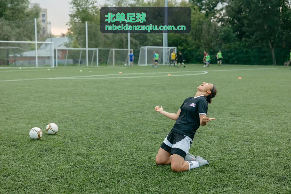 北单足球赛事数据封面